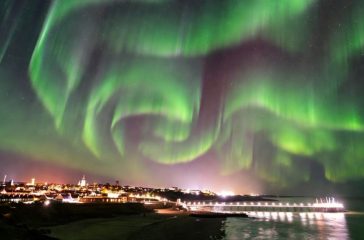 Blackpool's "Aurora Borealis" Exposed as Stoned Seagull Swarm