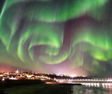 Blackpool's "Aurora Borealis" Exposed as Stoned Seagull Swarm
