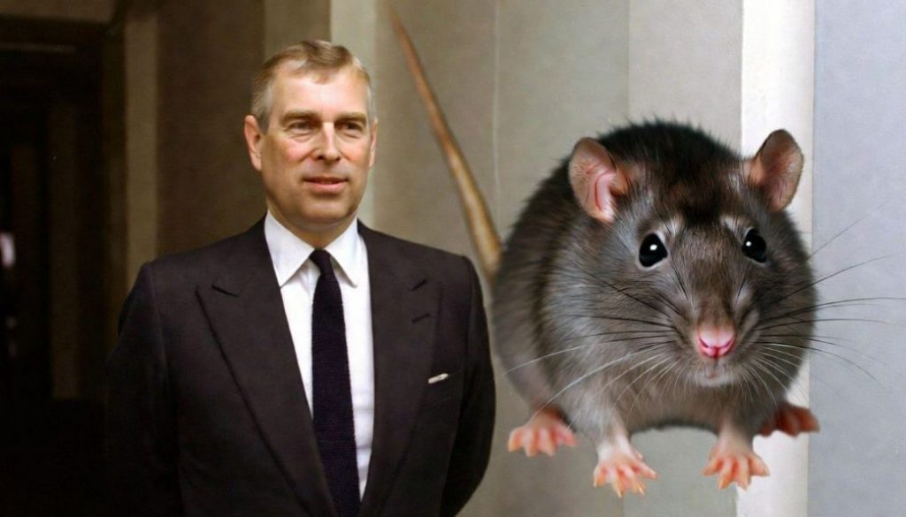 Pest Control Race to Andrew Mountbatten-Windsor's Home After Rodents Put in Complaint