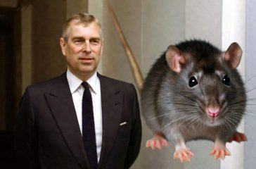 Pest Control Race to Andrew Mountbatten-Windsor's Home After Rodents Put in Complaint
