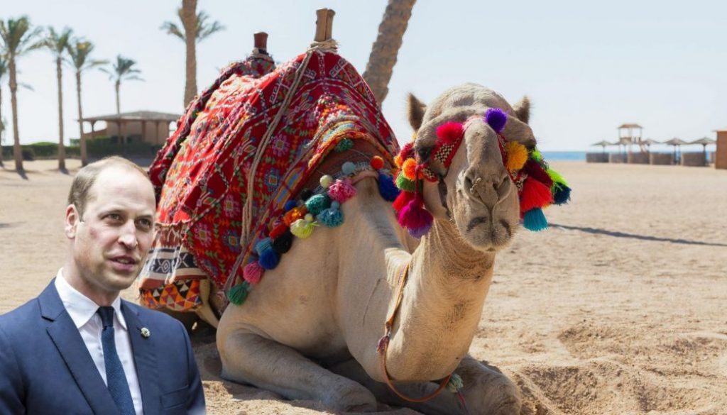 Prince William Declares War on Sand: "It's Getting Everywhere!" After Saudi Arabia Trip