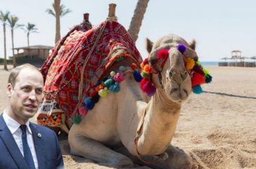 Prince William Declares War on Sand: "It's Getting Everywhere!" After Saudi Arabia Trip