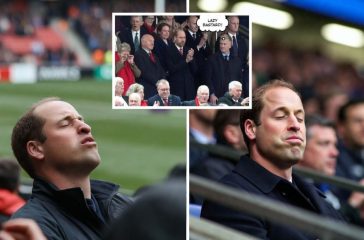 Bone-Idle William Endures Arduous Day at the Rugby